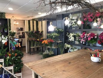 Taller Atrezo Floristas En Granada
