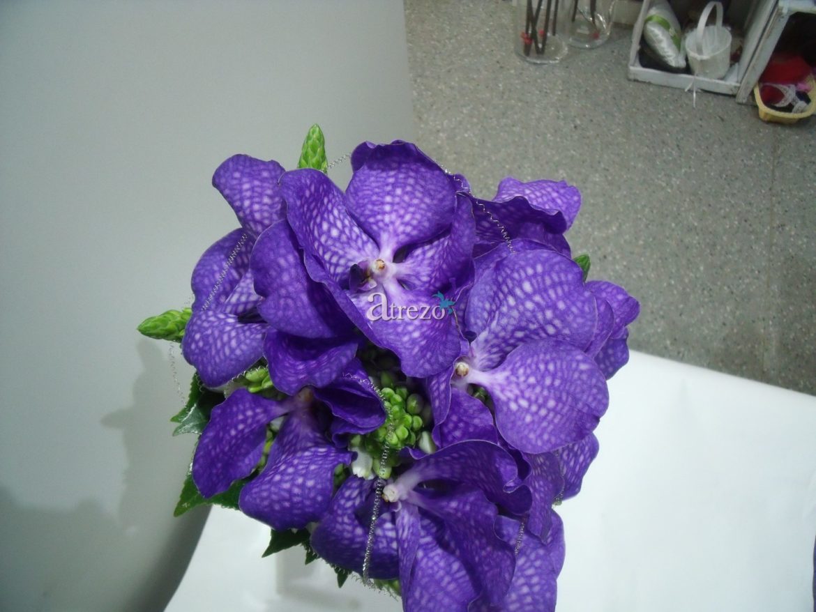 Orquidea Morada frente