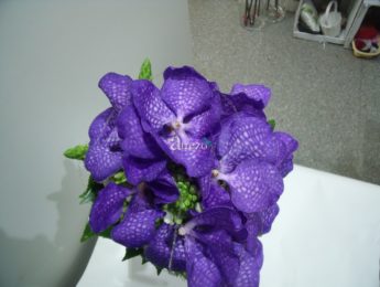 Orquidea Morada frente