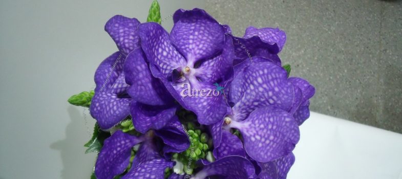 Orquidea Morada frente