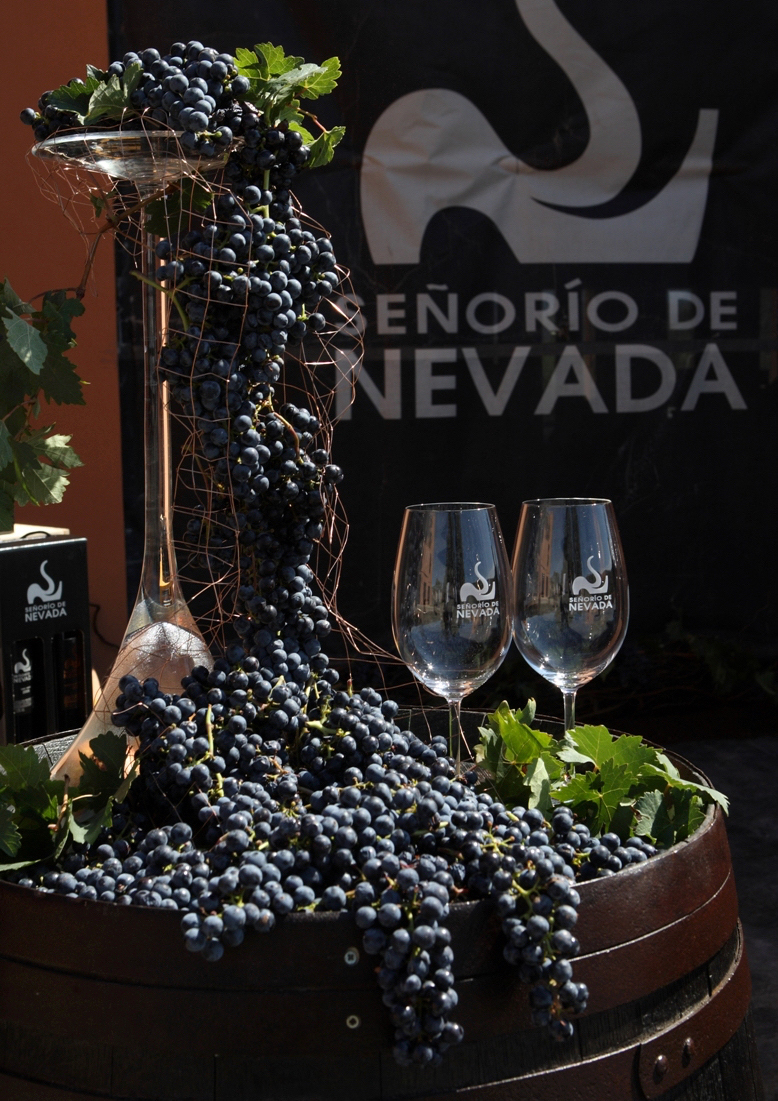 Bodegon Pequeno 2