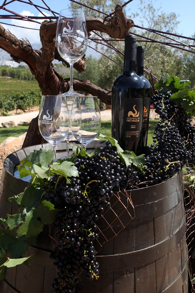 Bodegon Pequeno Ii