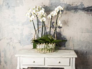 Composicion En Cesta Orquideas Grande
